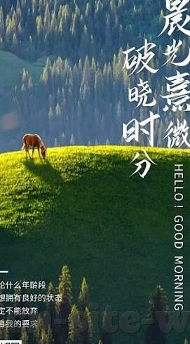 卡塔尔阿联酋足球比分-绿茵烽火，卡塔尔与阿联酋足球比分背后的激情与较量