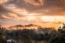 炸金花积分版-炸金花积分版，提升游戏乐趣与公平性的创新工具